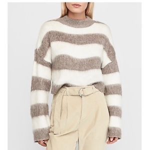 Express Cropped Sweater XXS